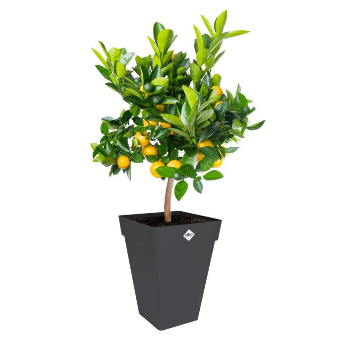 loft urban vierkant hoog 37cm antraciet